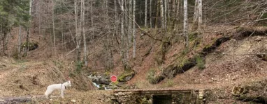 Randonnée Crêt de Chalam