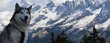 Randonnée La tête du Danay