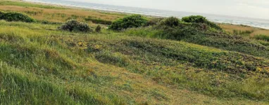 281657236 10221892085359759 8636857619155384436 n