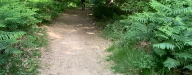 Gravel en bords de Garonne