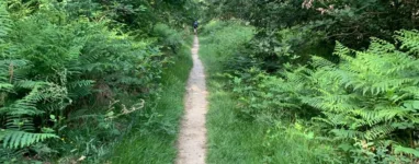 Gravel Foret de Bouconne