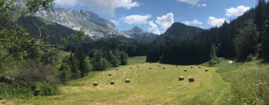 Le vallon de la Fauge 2