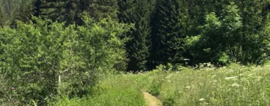 Le vallon de la Fauge 4