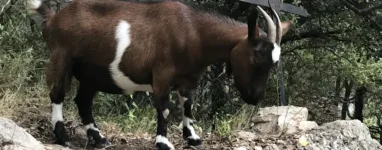 Chapelle Notre Dame de Vie randonnée