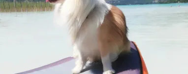 Wipe Out34 27 2022 073434 053000