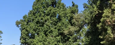 parc de Lacroix Laval