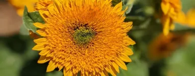 parc de Lacroix Laval