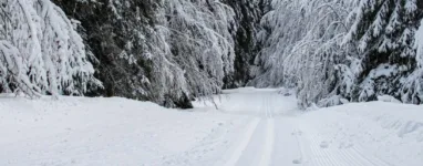 Ski de fond gerardmer 2