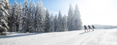 Autrans ski de fond 2