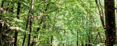 randonne St Laurent de Vaux Yzeron Chateauvieux