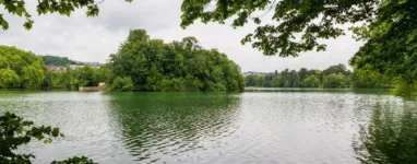 Parc de la tete dor lyon 1