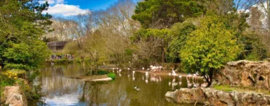 Parc de la tete dor lyon 2