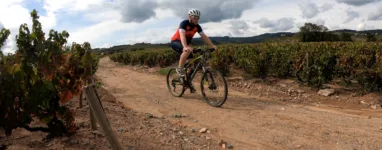 GX017597 1664202866439