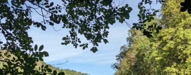 Randonnée Cascade des tufs Arbois