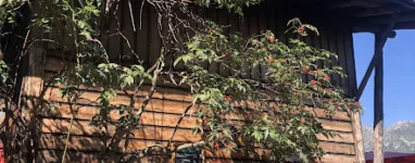 Randonnée Mer de Glace les Praz