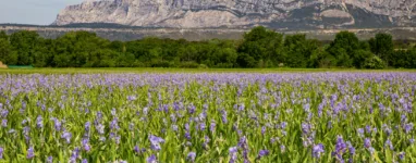 Tour de la Sainte Victoire vélo 1