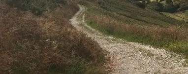 IMG 20221001 131957 527