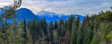 Raquettes à Plaine-joux : Lac vert / chalets d’ayeres