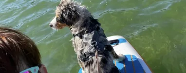 Plage de Chaon - Paddle sur le Lac St point