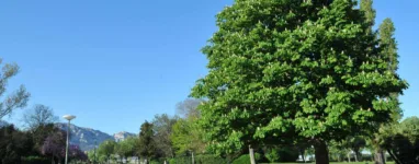 Parc Borély Marseille 3