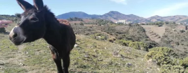 Sentier du Littoral Banyuls-Cerbère