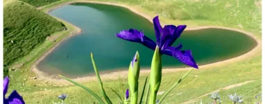 Lac du Montagnon randonnée facile