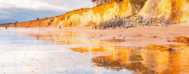 Plage de la Mine d'or parapente