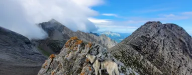 Randonnée à la Tête Pelouse 2'537