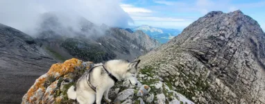 Randonnée à la Tête Pelouse