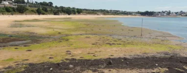 Plage du Moulin Blanc