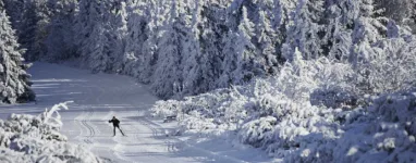 Champ du feu ski de fond 3