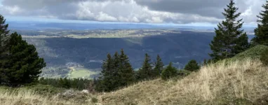 Le Crêt de la neige depuis Lélex