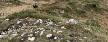 Crêt de la neige depuis Lélex