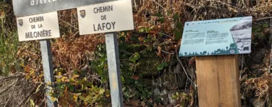 PXL 20231126 135113358