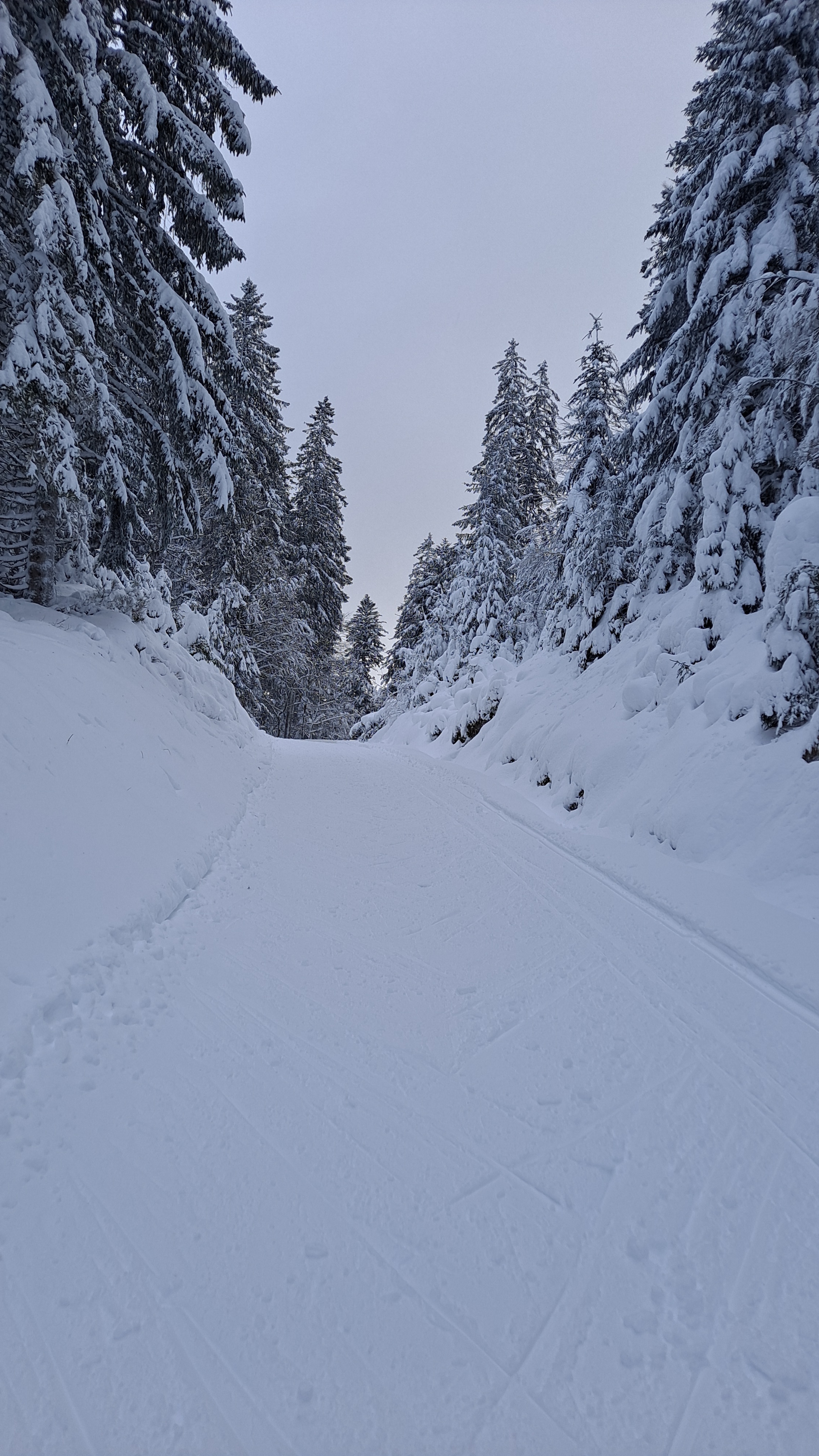 la bresse lispach ski de fond