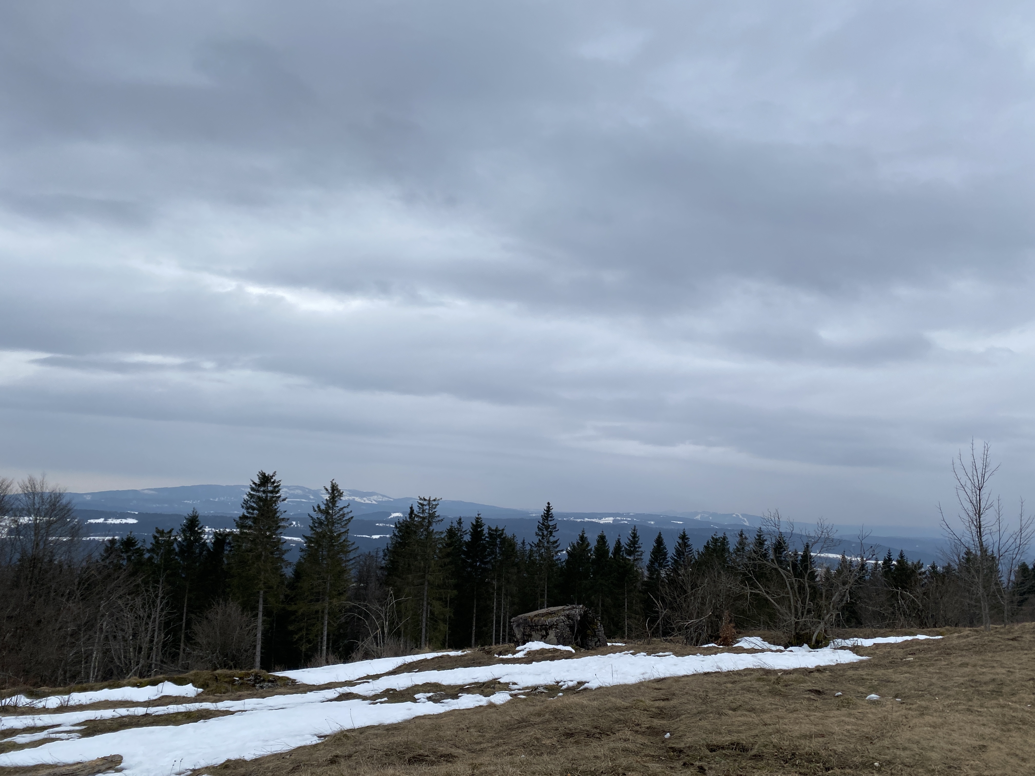 le grand taureau jura