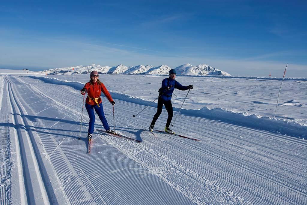 plateau de beille ski de fond