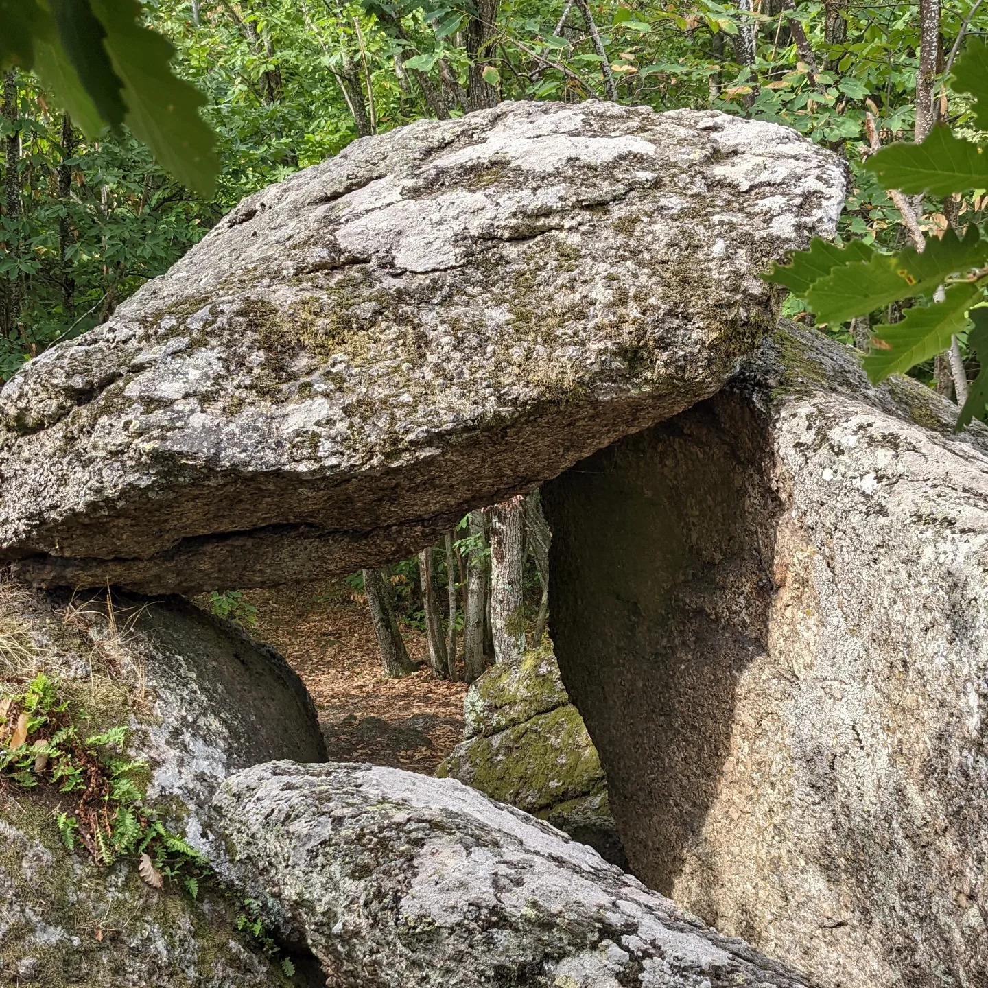 randonne St Laurent de Vaux Yzeron Chateauvieux