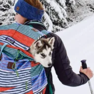 Never.without.my.dog